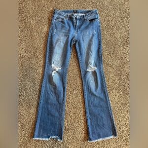 Women’s size 28 Just Black bootcut jeans